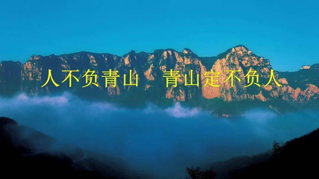 快来为她投票吧《人不负青山,青山定不负人》正在展播!