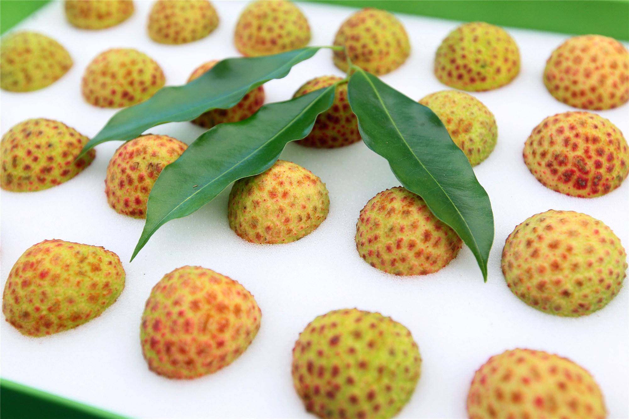 东莞樟木头以荔为媒28颗观音绿荔枝拍出十万元