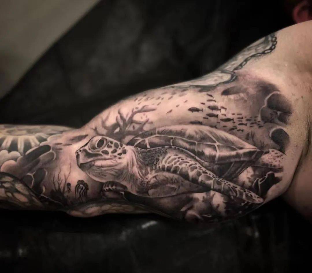 毁誉参半的乌龟纹身