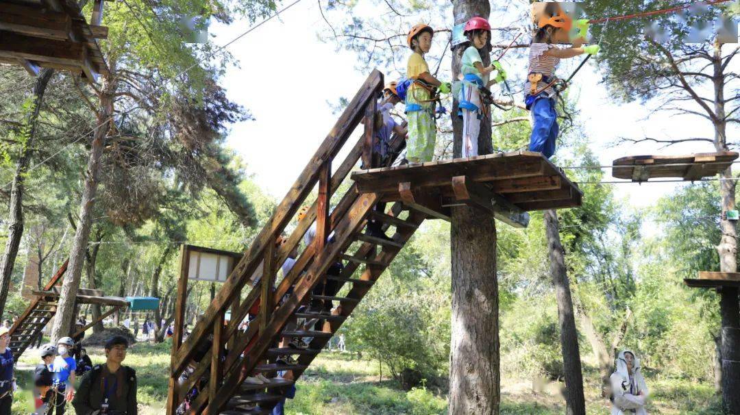 带娃去探险| 净月潭森林探险乐园,爆红打卡地推荐!_全天_畅玩_大自然