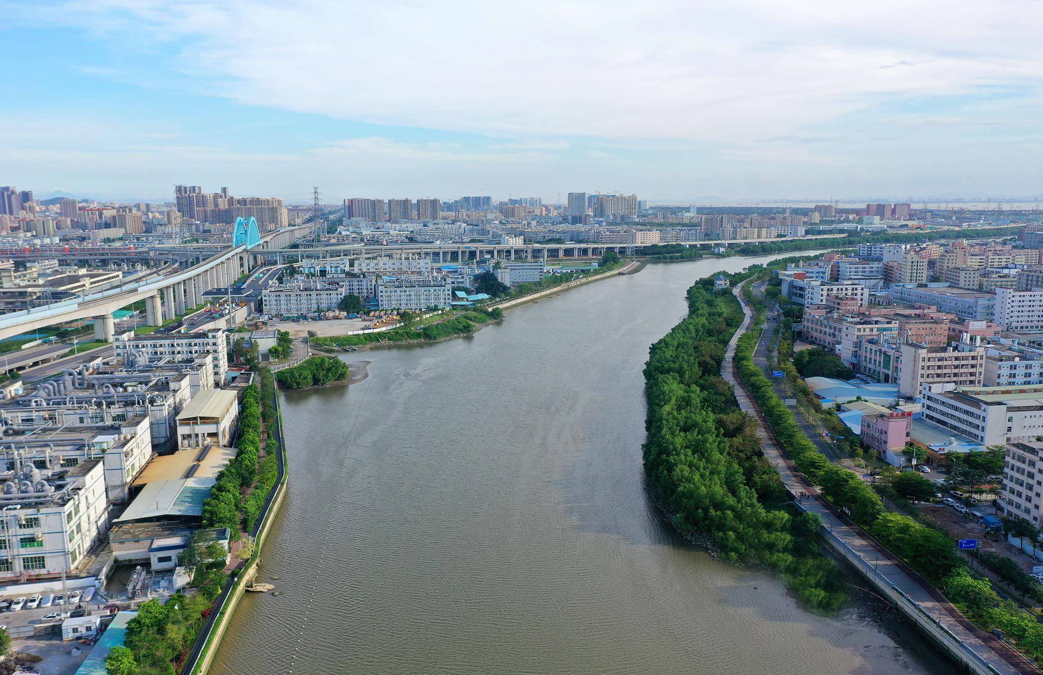 东莞市长安镇原创儿童音乐剧《你好!茅洲河》首演_演出_文化_生态