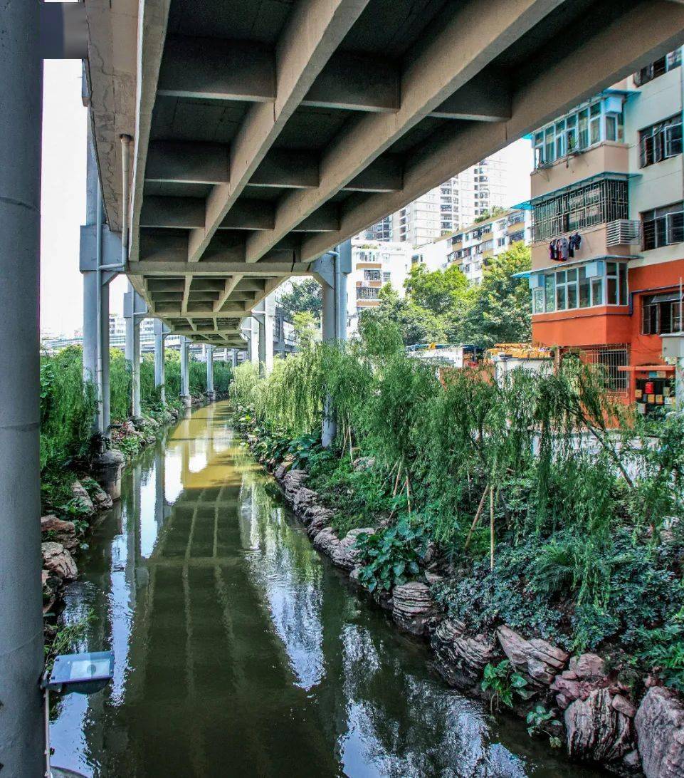 绿色越秀丨致"我与东濠涌的十年"_广州_清水_志愿