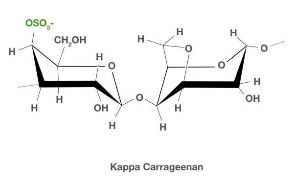 波角叉菜提取物,该原料易于生物降解,在电解质存在的情况下会形成凝胶