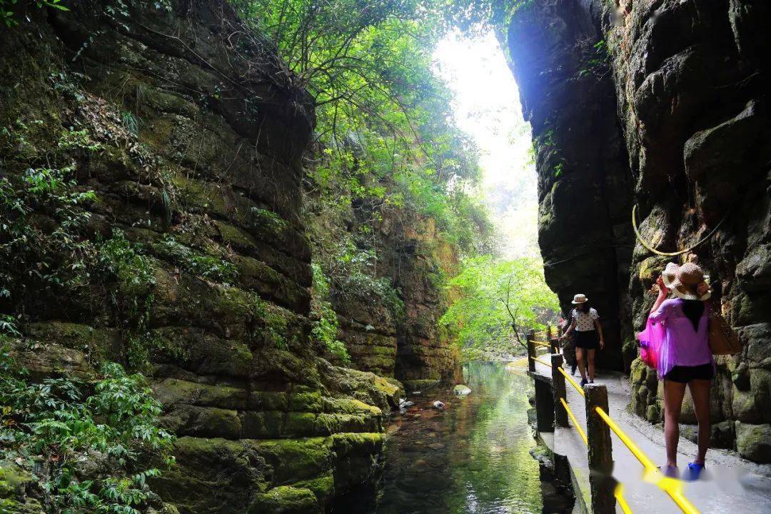 西部散文学会钟斌明百崖大峡谷穿行幽深百崖赏观飞瀑乐泉