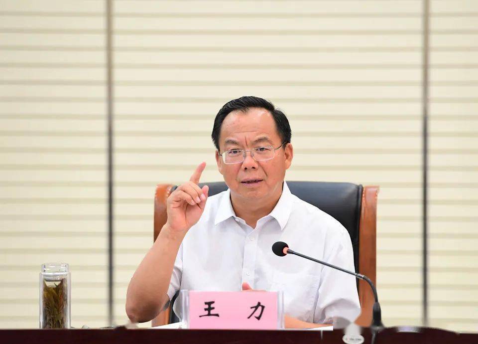 市委书记王力,市委副书记,市长江华,中国电力工程顾问集团有限公司总