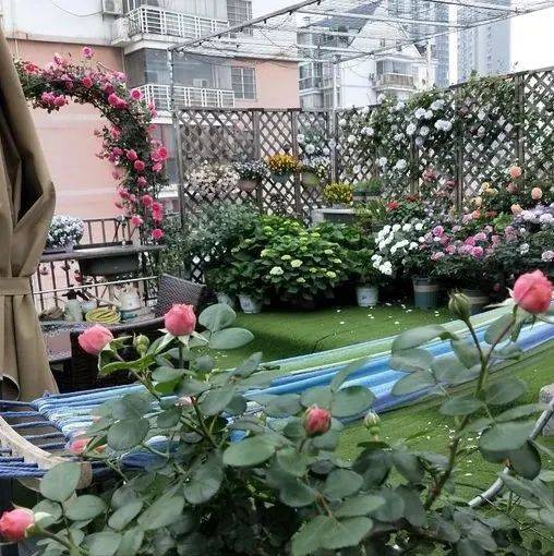 改造30㎡顶楼露台花园,做个沾花惹草的花仙子。_月季花_园艺_太阳能