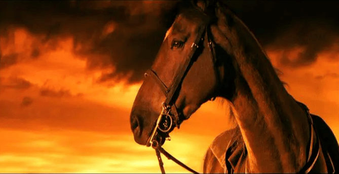 战马一个男孩与一匹马的传奇友谊