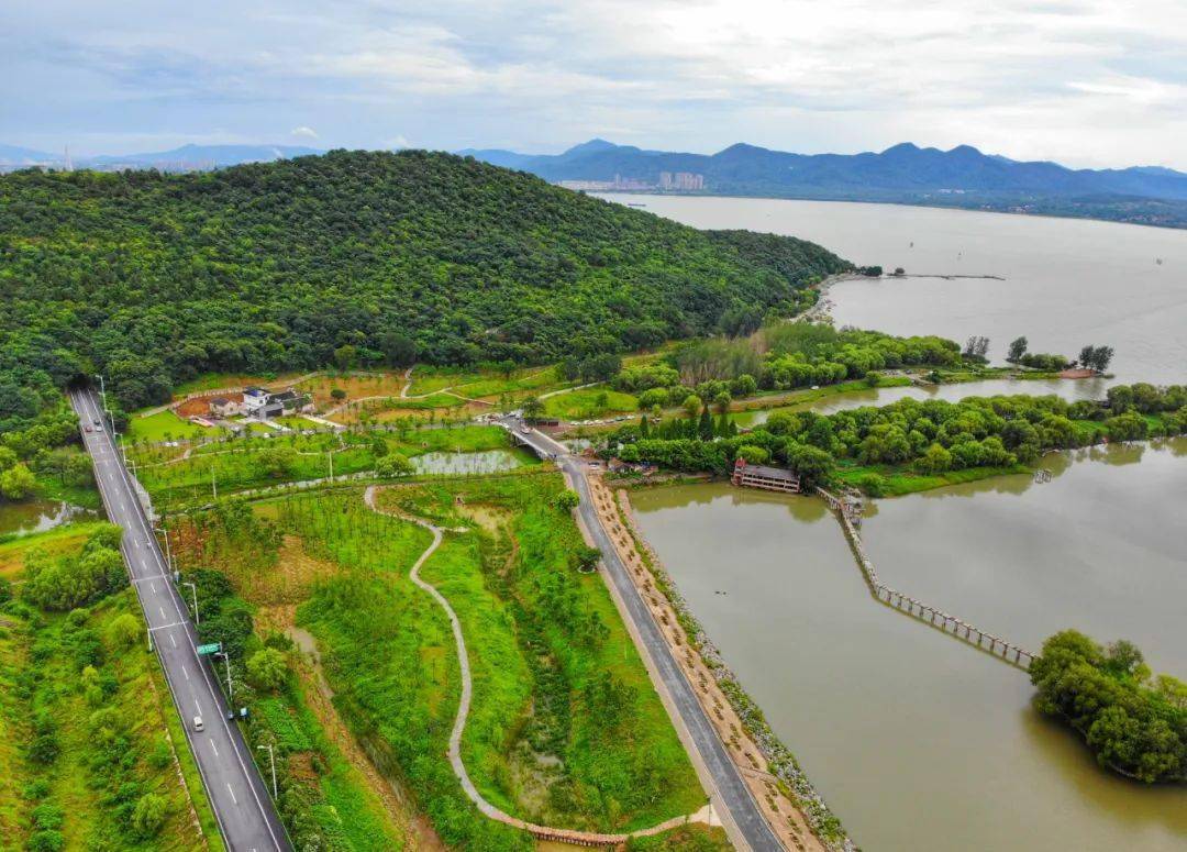 在希望的田野上系列報道280一年四季景不同巢湖溼地美景繪就和諧畫卷