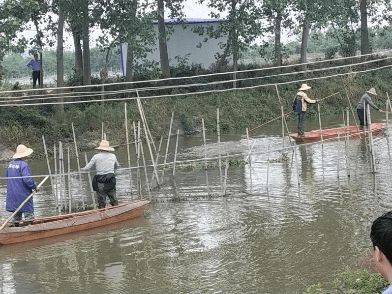 湖北监利龚场前进村图片