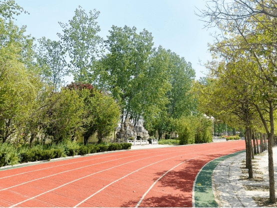 文明校园风采展示菏泽高新区高新区登禹中学