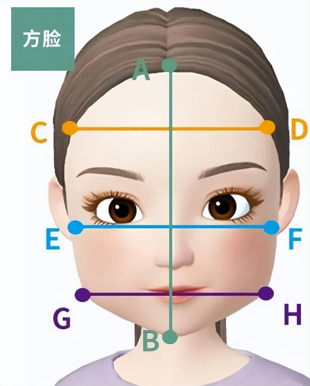 然後就可以根據下面的臉型對照表來判斷自己屬於什麼臉型啦~然後盞澆