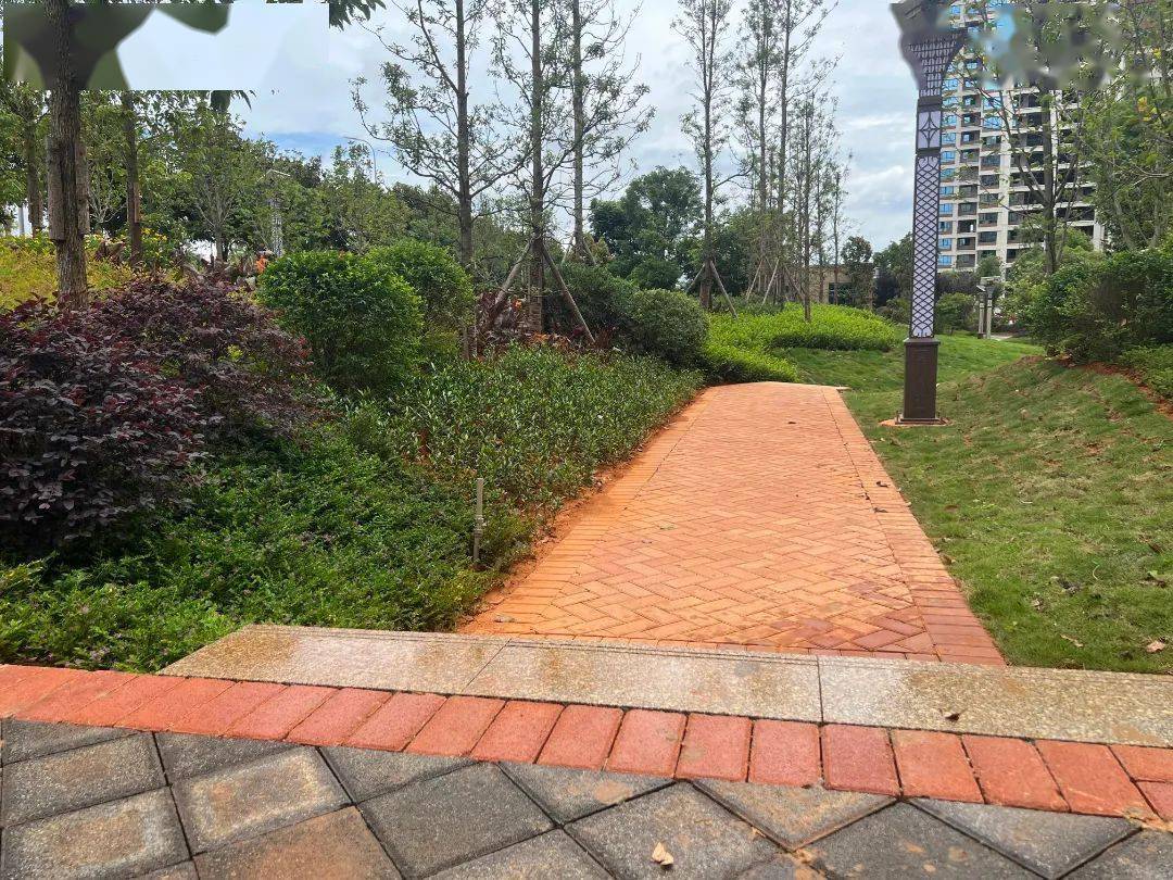 砚山有个智能公园很多人都不知道