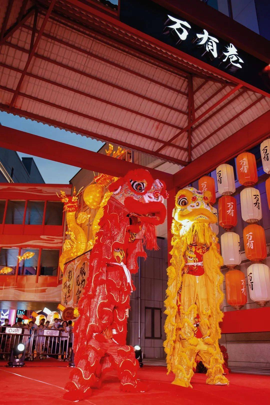 启动仪式上,吉祥威武的舞狮一出场就成为全场瞩目的焦点!