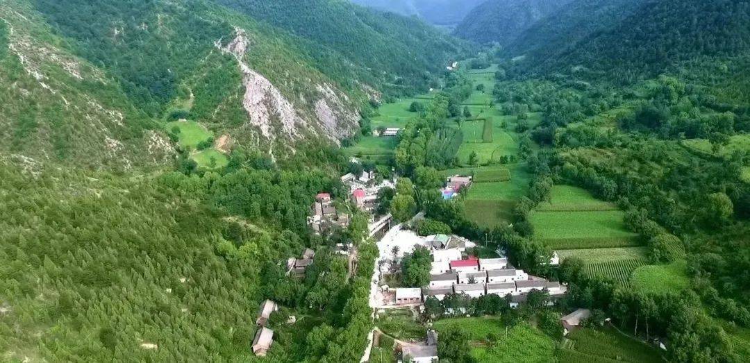 灵宝有多"好看" | 森林乡村绘就"诗和远方"美好画卷_王晓明_朱阳镇