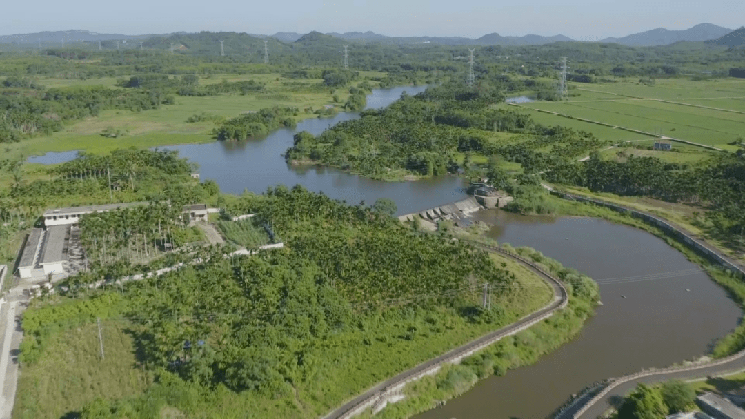 坡心镇:加强河湖管护 维护河湖水环境_屯昌_水浮莲_工作