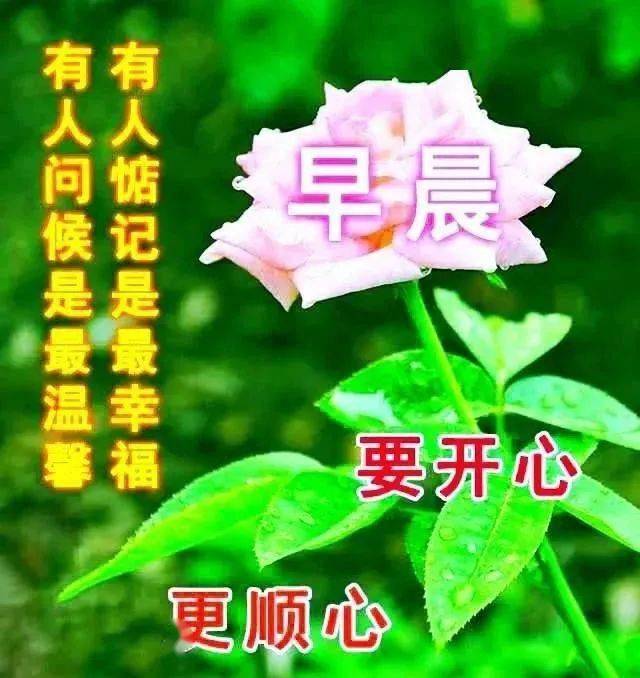 清晨問候朋友早上好祝福語動態圖帶字週五溫馨的早上好祝福語短信句子