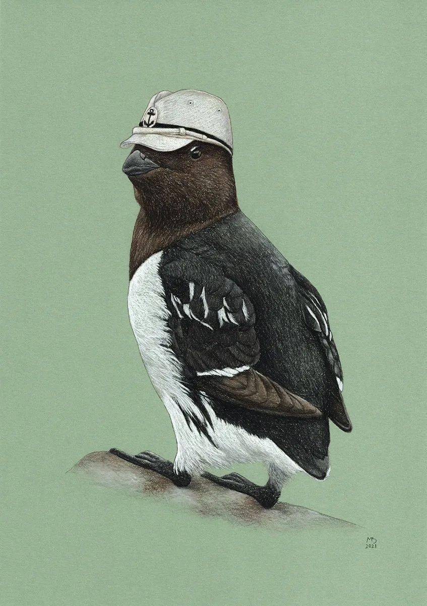 mikhailvedernikov你们见过戴帽子的鸟吗