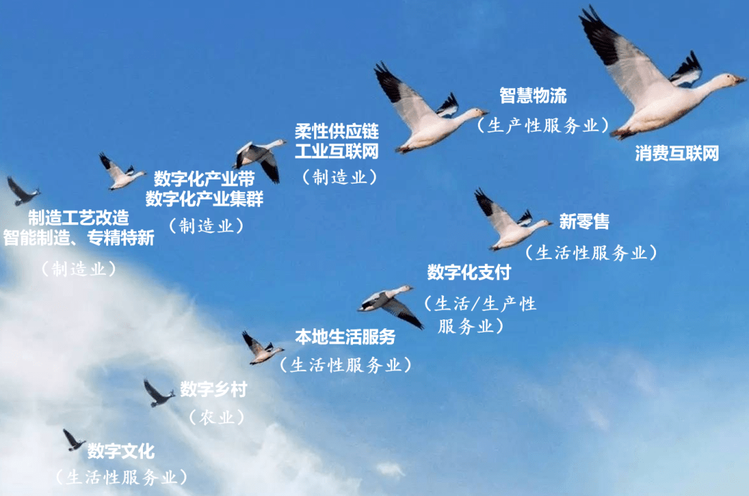 新雁阵模型数字技术如何引领中国产业高质量发展