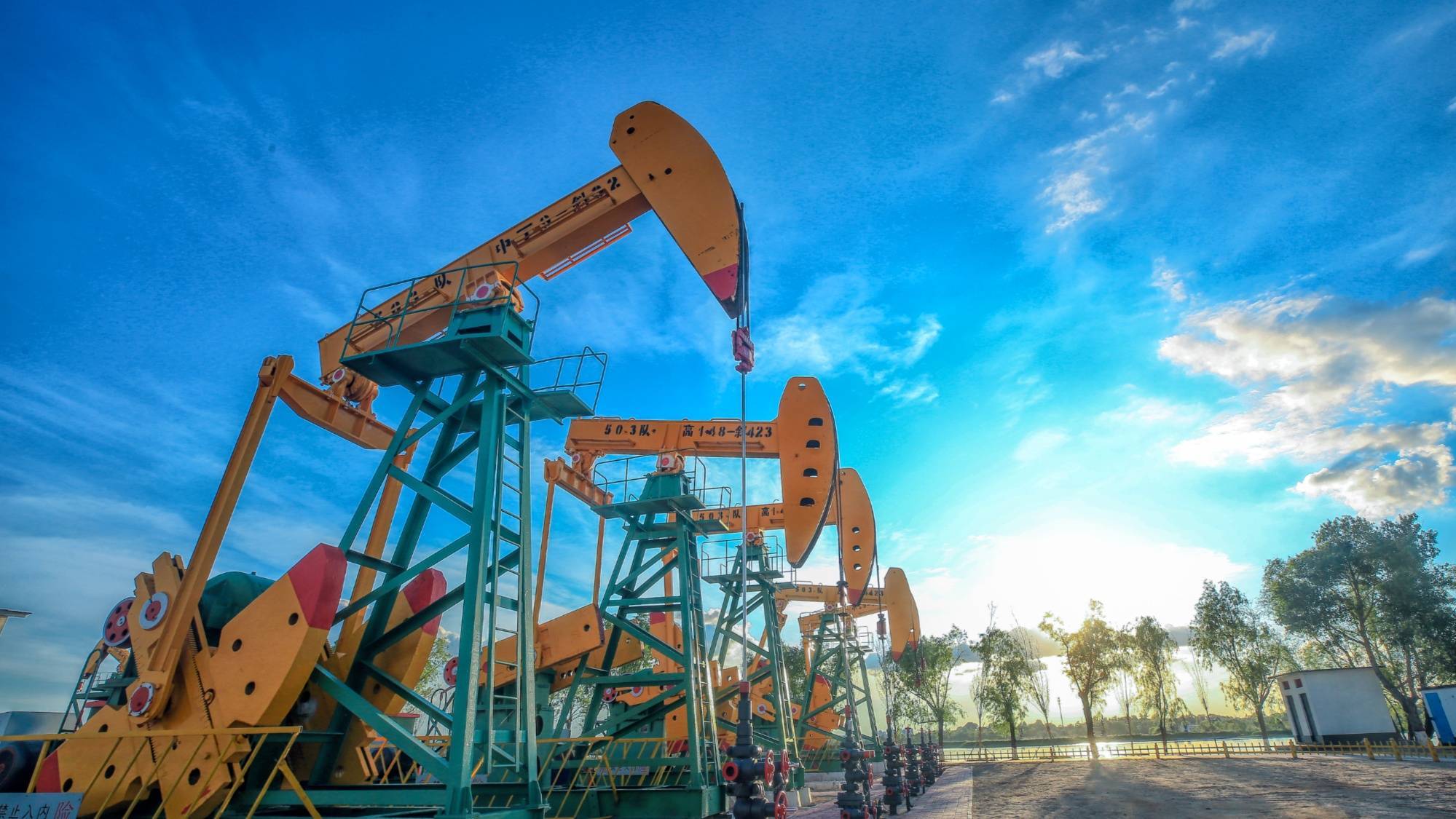 大庆大型网站建设收费多少_(大庆大型网站建设收费多少钱)