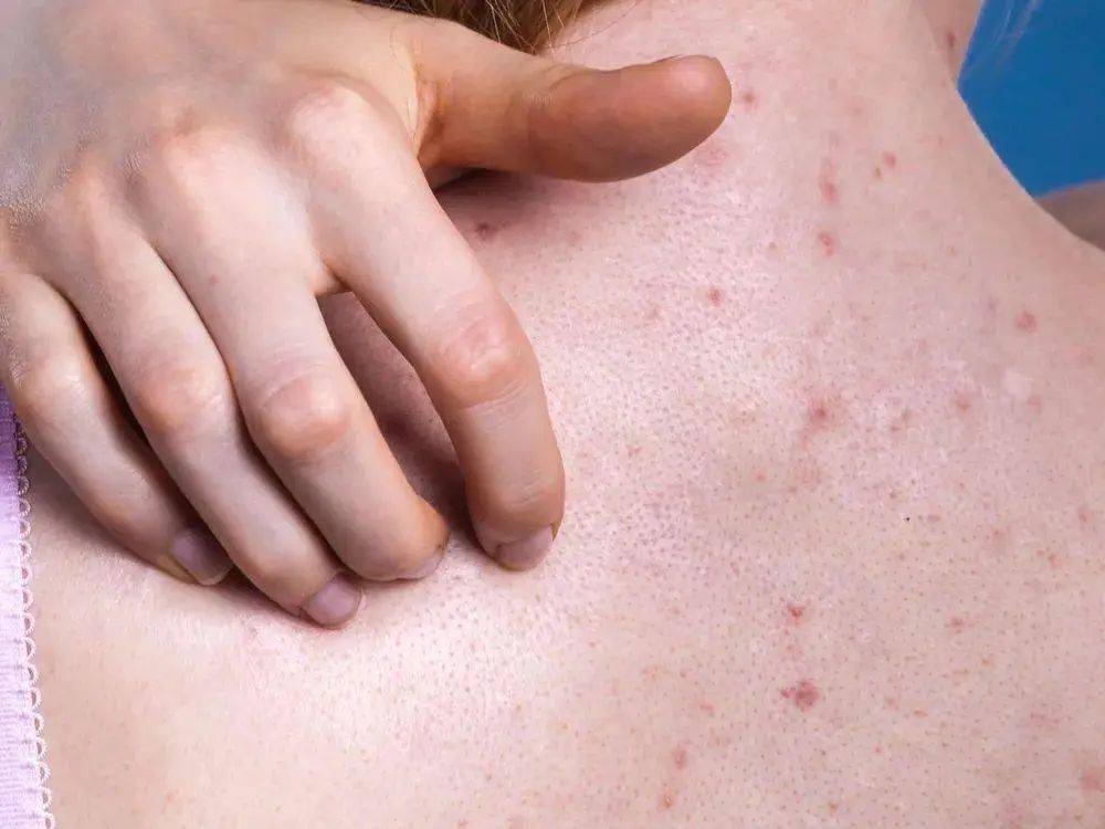 这才是夏天该穿的内衣凉爽无痕亲肤透气无钢圈零束缚