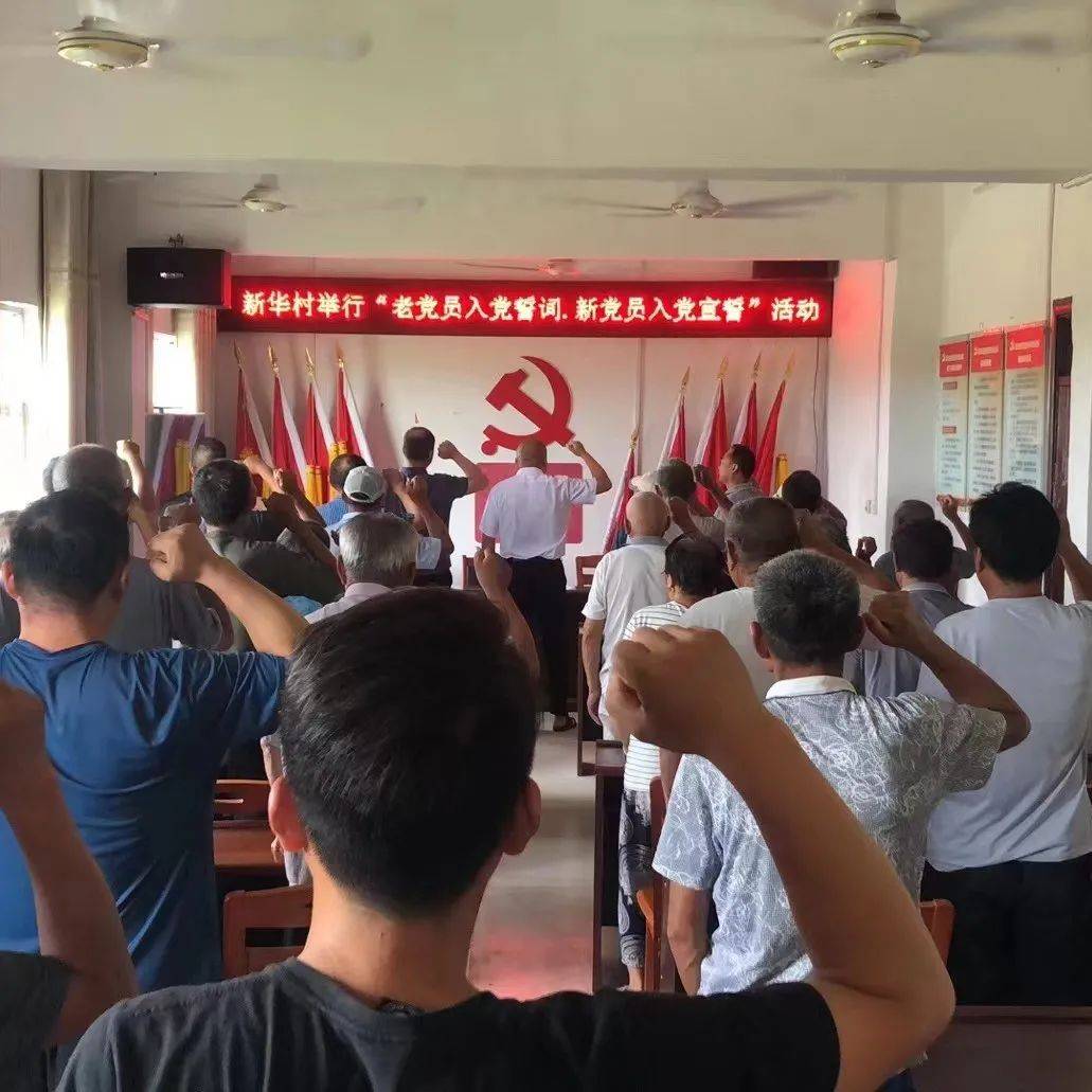 【庆七一,喜迎二十大】葛集镇新华村:开展庆“七一”主题党日活动_精神_使命_党建