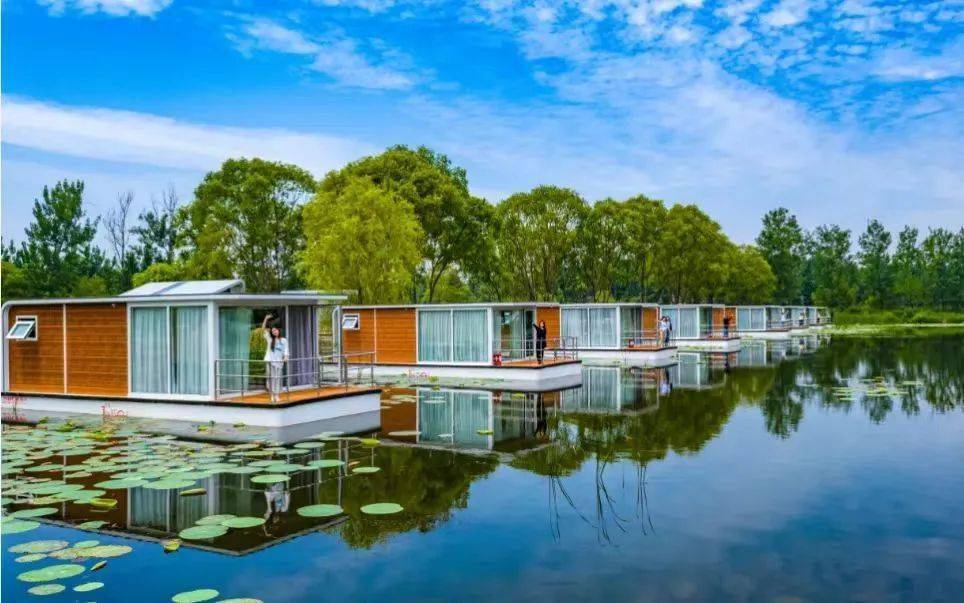 【二日游】台儿庄古城 微山湖红荷湿地二日_表演_景区_住宿