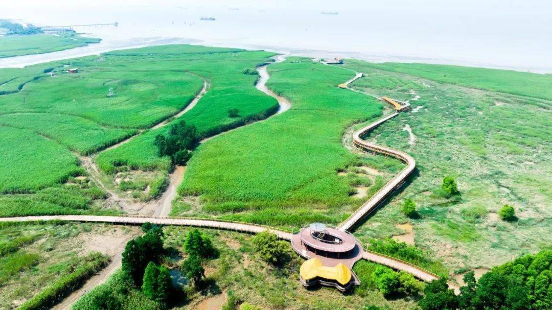 长江入海口,崇明正绚丽绽放_生态_建设_上海市