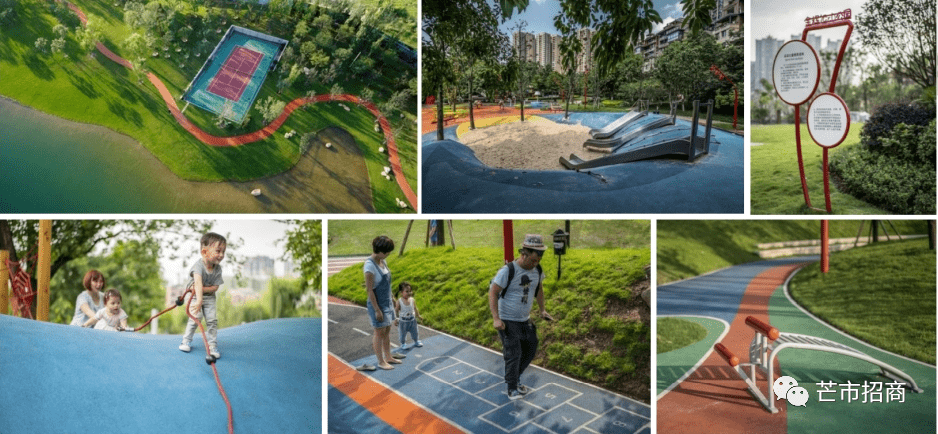 文章配图-17