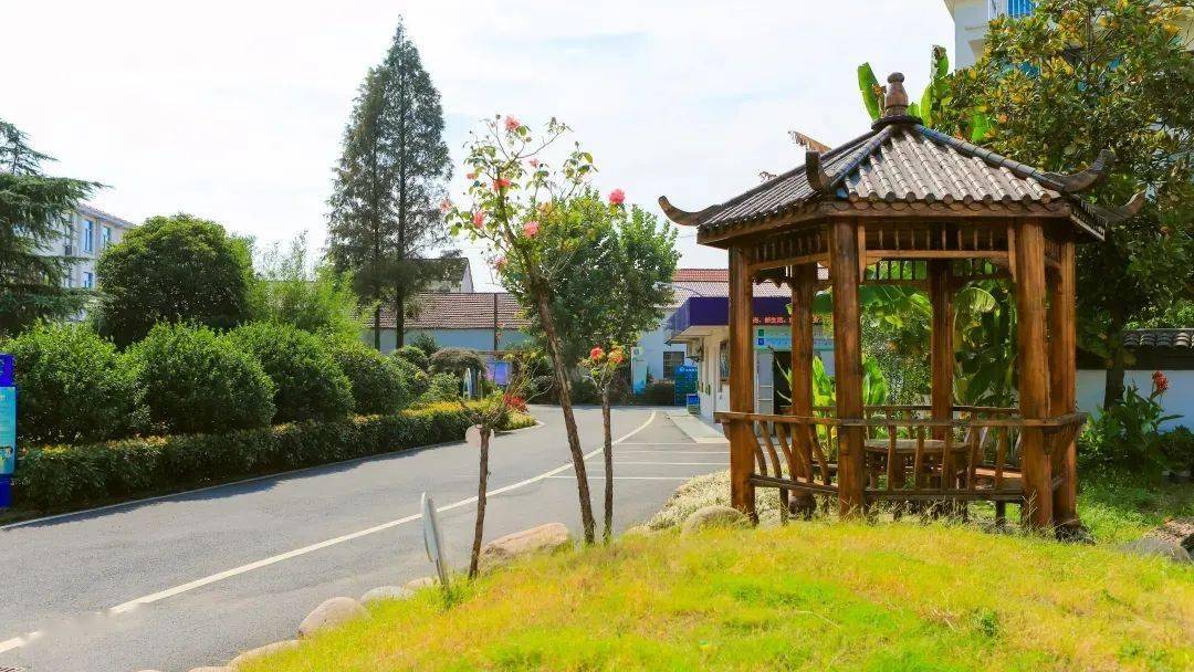 婺城区蒋堂镇中心小学2022年秋季招生简章