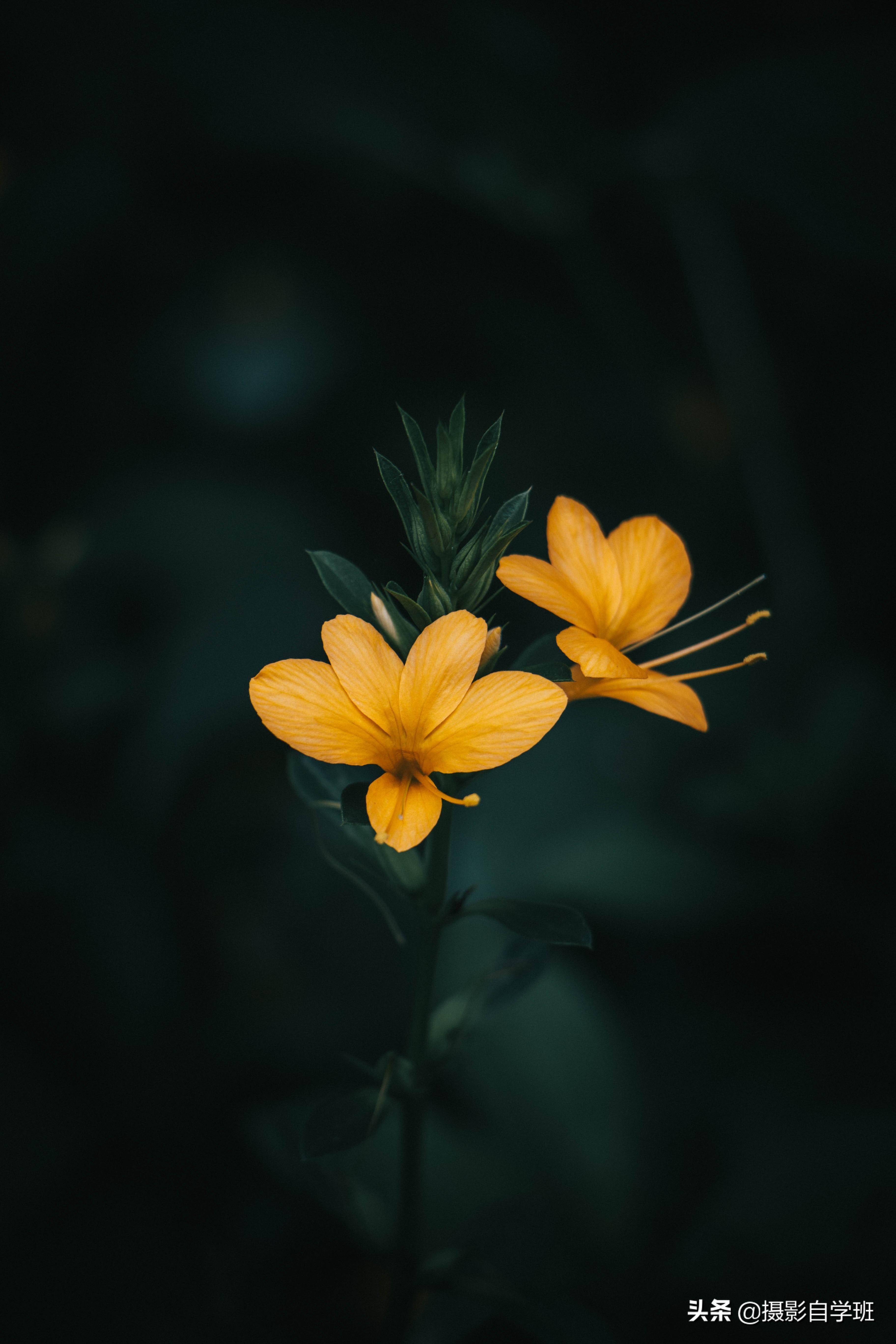 3648_5472竖版 竖屏