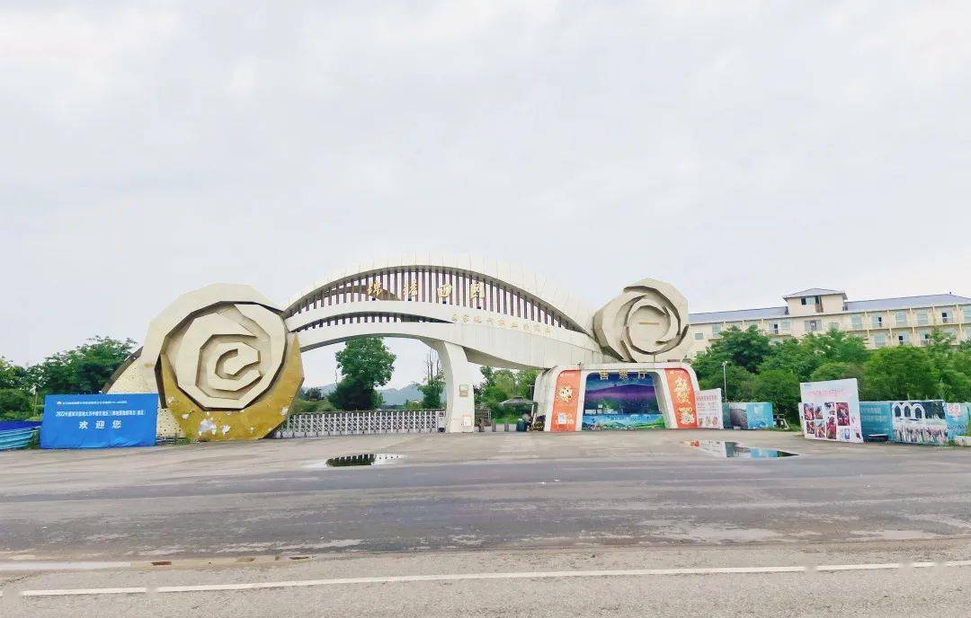 暴走南充搬罾大学城!雏形初现,高校版图不断扩大!