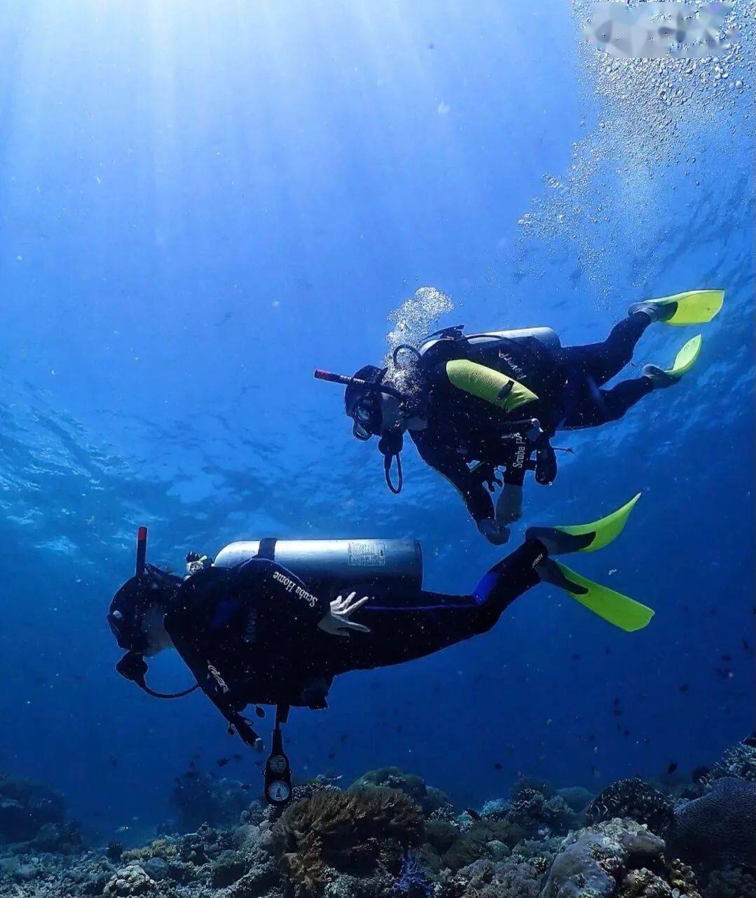 跃入海底 融入深蓝_潜水_活动_鱼儿