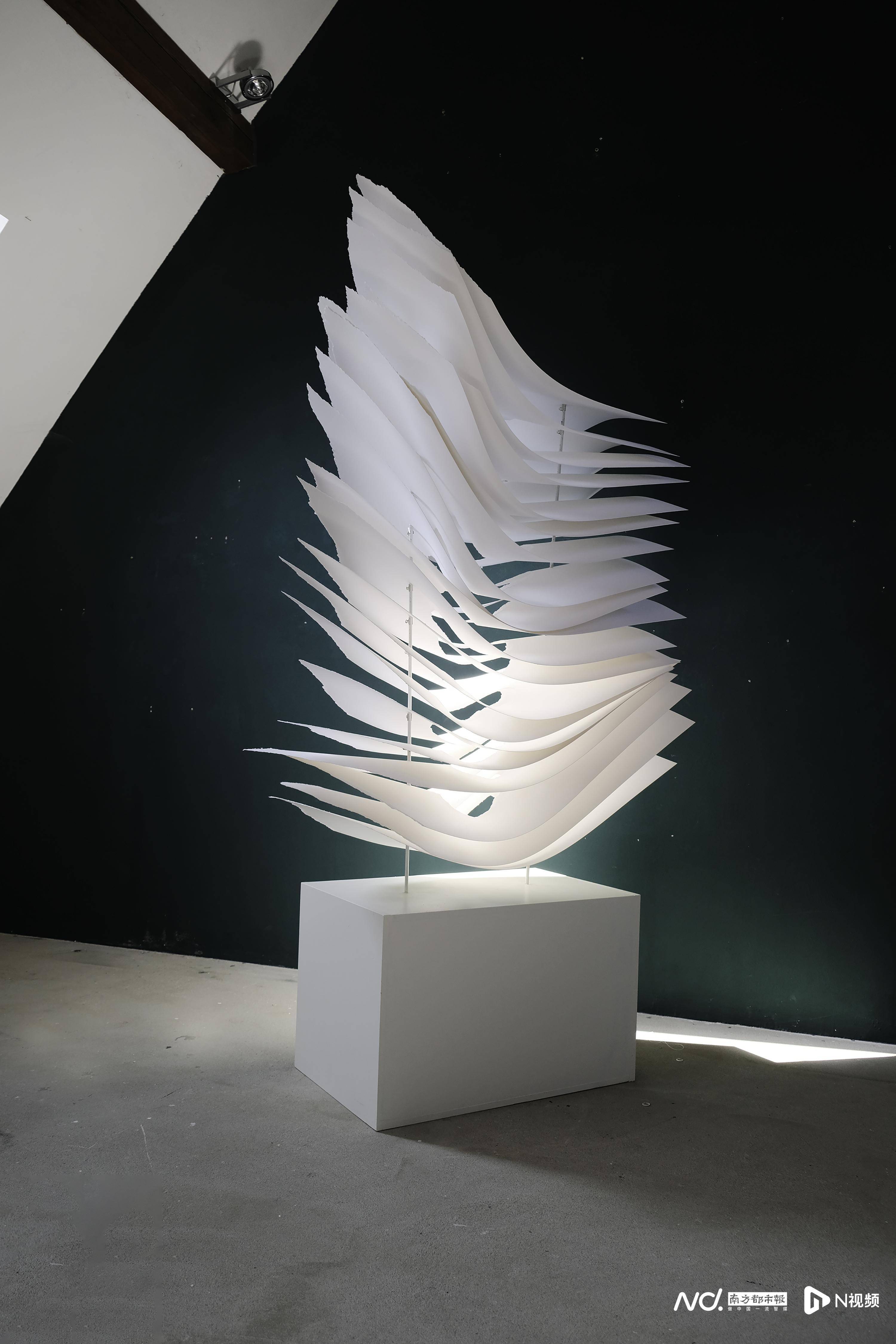 纸雕艺术家安格拉·格莱扎中国大陆首展即将开幕_纸张_空间_作品