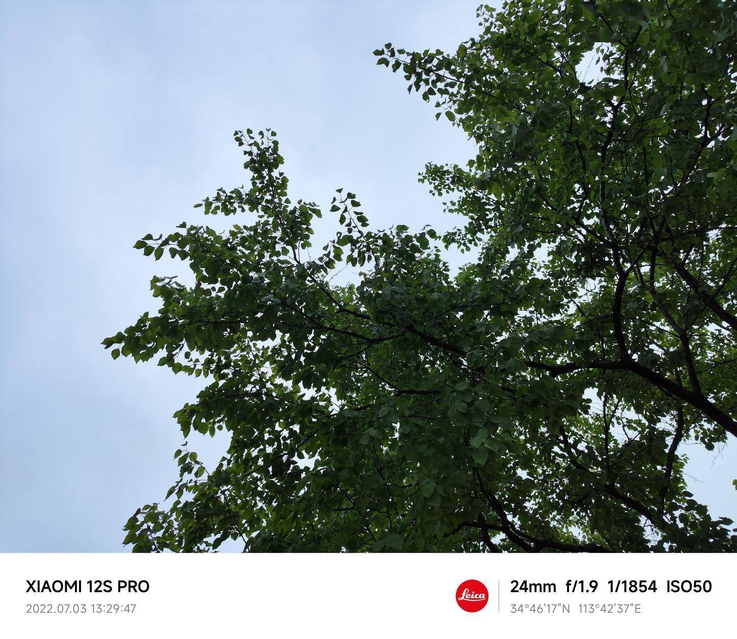 小米12spro评测首发骁龙8plus徕卡影像数字系列旗舰最终体