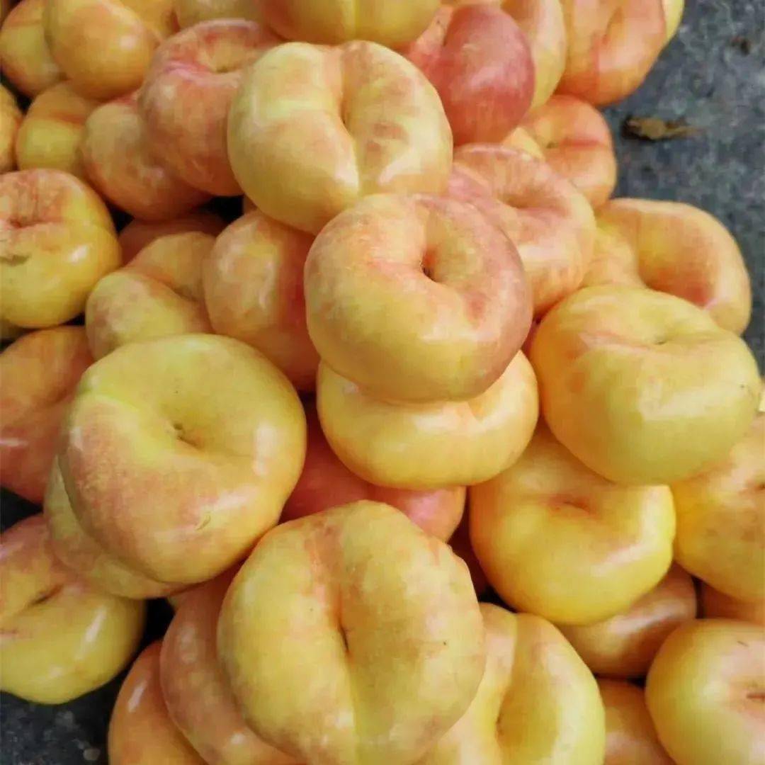 蒙阴黄金蟠桃桃香四溢黄金水果c位只需299元起不止甜软糯多汁现摘现发