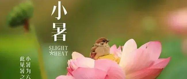 倏忽温风至，因循小暑来_清凉_暑热_时节