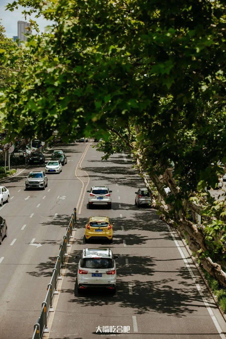 2022年,我们重走一遍芜湖路_合肥_记忆_历史