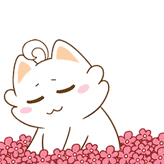 强基计划录取结果查询_强基计划2022录取分数线_录取分数线要折算过吗