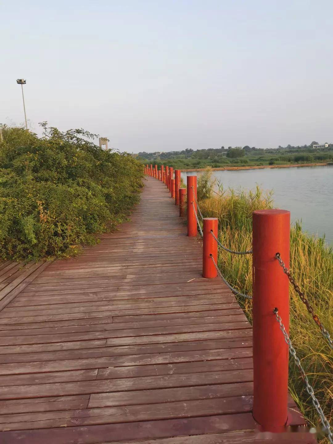 清平乐·壬寅仲夏石川河栎阳湖美景图文/大明宫巡园人 李景宁_朗淳