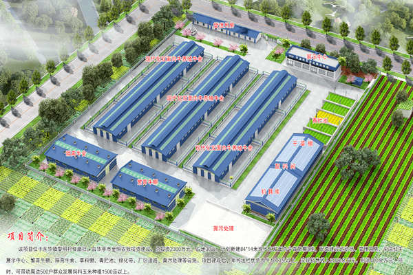 中省媒体看华亭华亭总投资2300万元千头红牛养殖基地即将建成