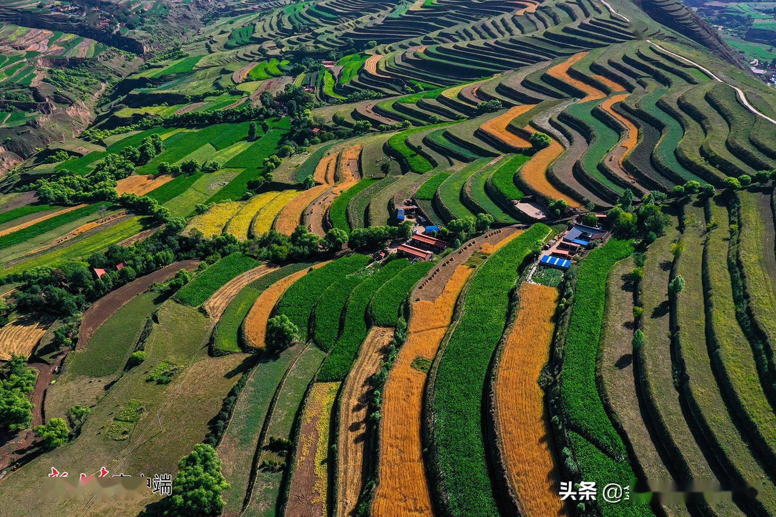会宁县夏日梯田风光无限好
