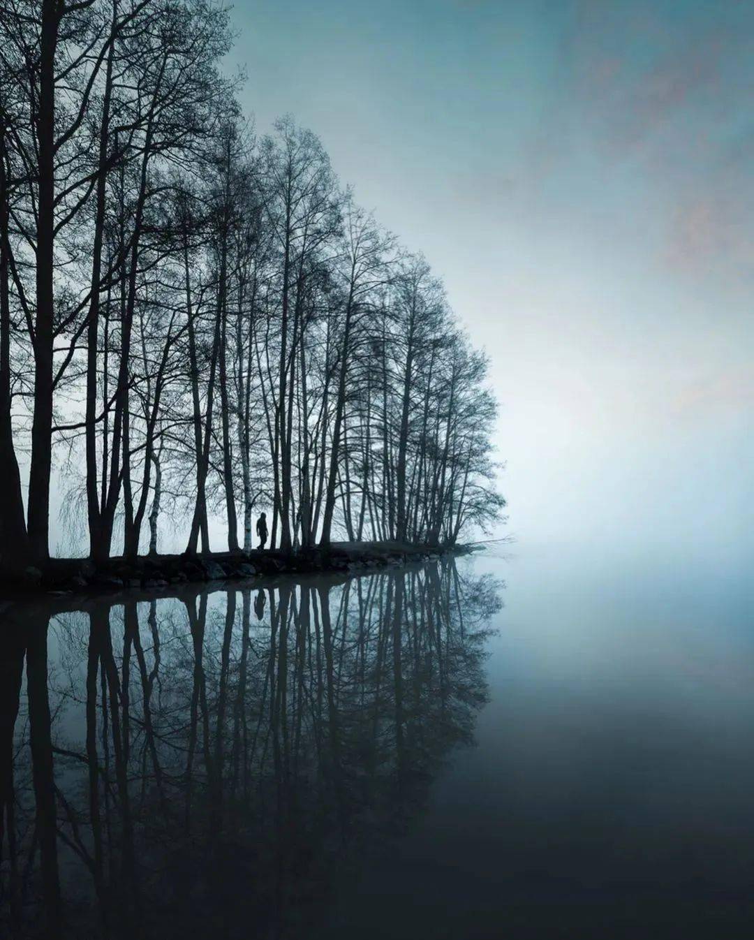 他镜头下的自然景观美得令人窒息