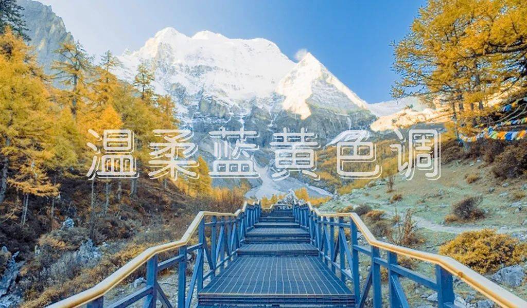 调色如此简单：22种顶级色调大片一览！