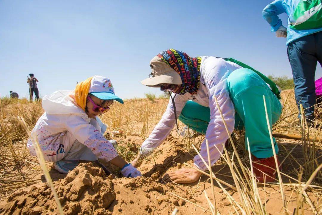 亲子研学旅行腾格里沙漠宁夏7天6晚亲子游