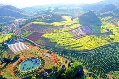 孟连县娜允镇人大代表扎倮疫情防控勇担当坚守一线履职责