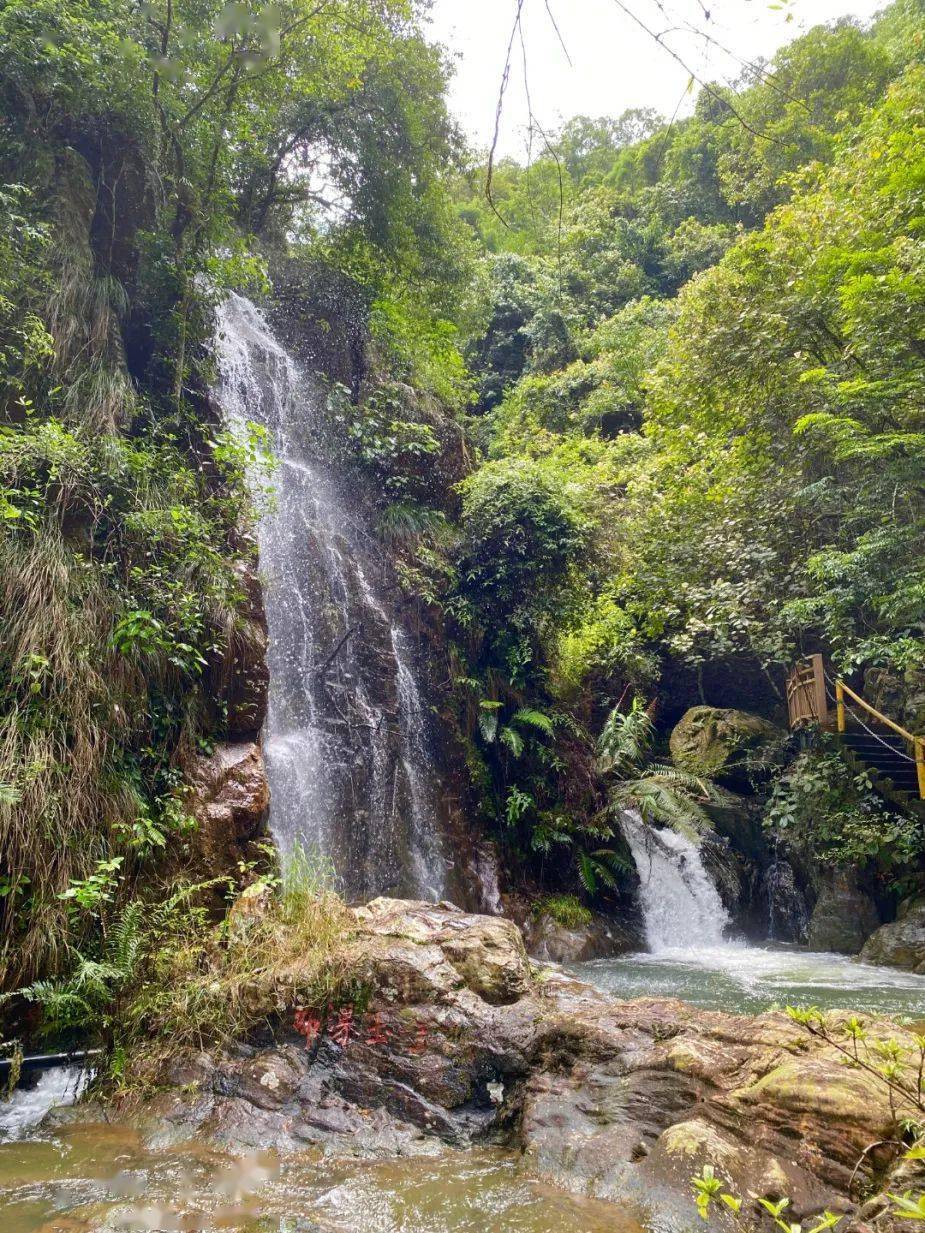 黄金沟生态旅游景区图片