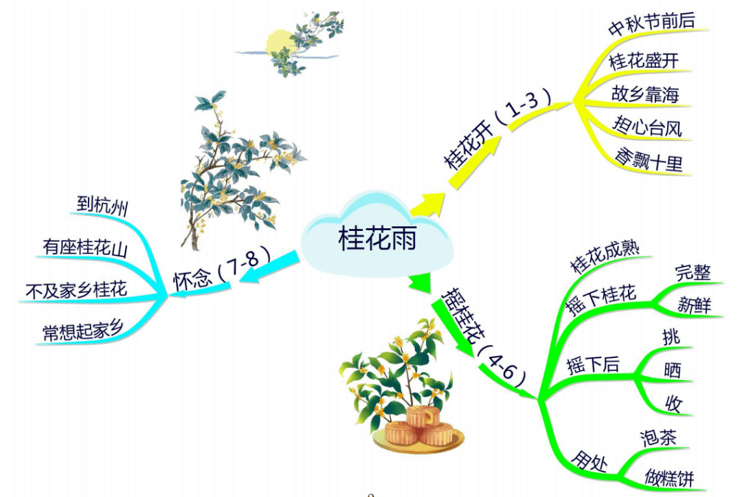 桂花雨思维导图 简单图片