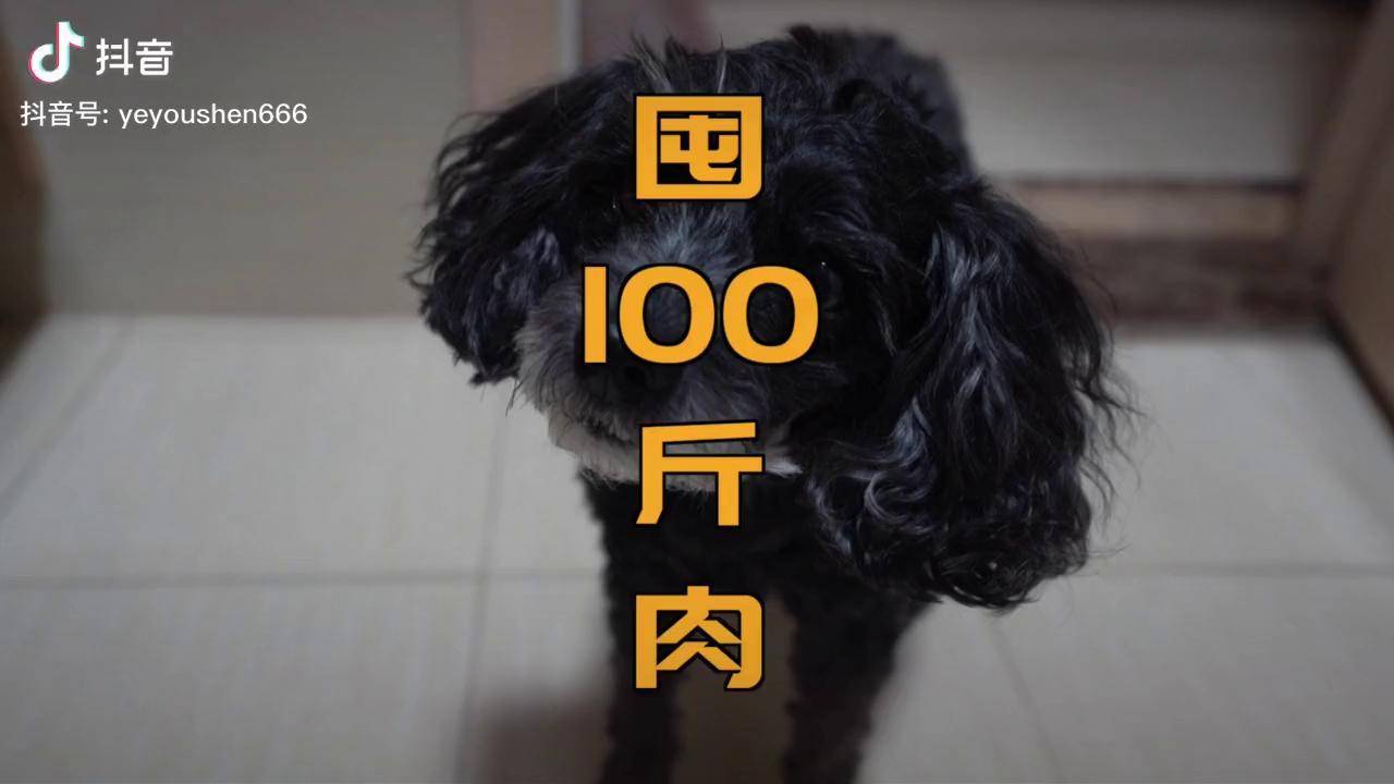 我们家一直有囤菜的好习惯冰箱里的肉近100斤有牛肉猪肉鱼肉鸡肉腊肉