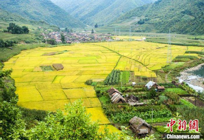 长白山下飘果香 生态旅游富边民