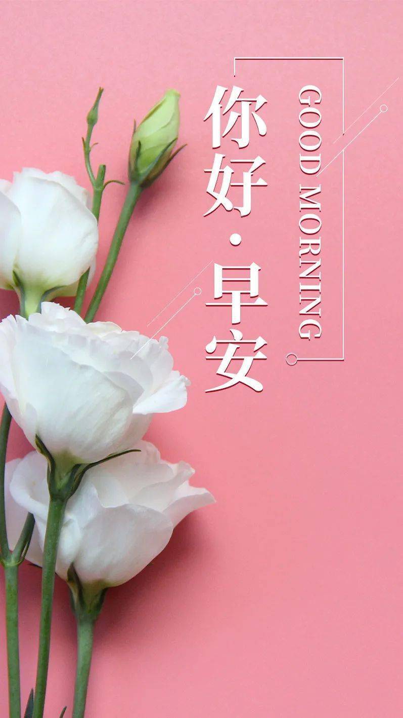 每日心情早安问候
